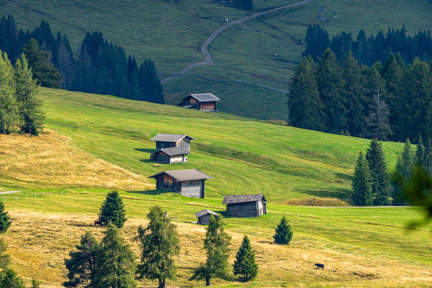 能源管理系統(tǒng)，城市綠色發(fā)展，節(jié)能減排