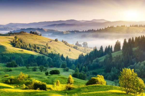 達成“雙碳”目標不只是“減碳”！