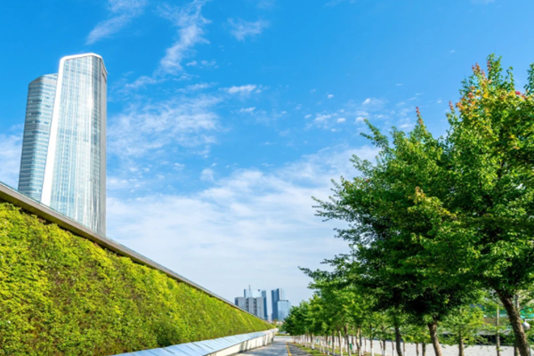 要正確認識和把握碳達峰、碳中和帶來的機遇和挑戰！