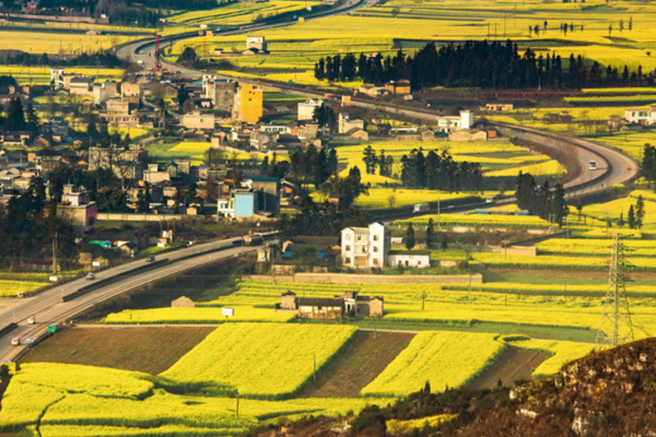 《山東新一輪“四減四增”三年行動方案(2021-2023)》(圖1) 《山東新一輪“四減四增”三年行動方案(2021-2023)》(圖1)